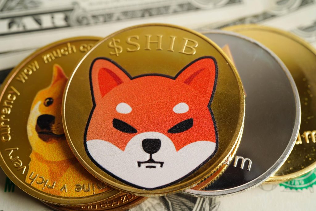 Close-up of Shiba Inu ($SHIB) and Dogecoin (DOGE) cryptocurrency coins placed on U.S. dollar bills.